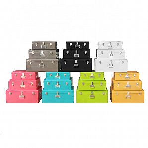 Multiple Color Home Storage Box & Trunk Orgainizer
